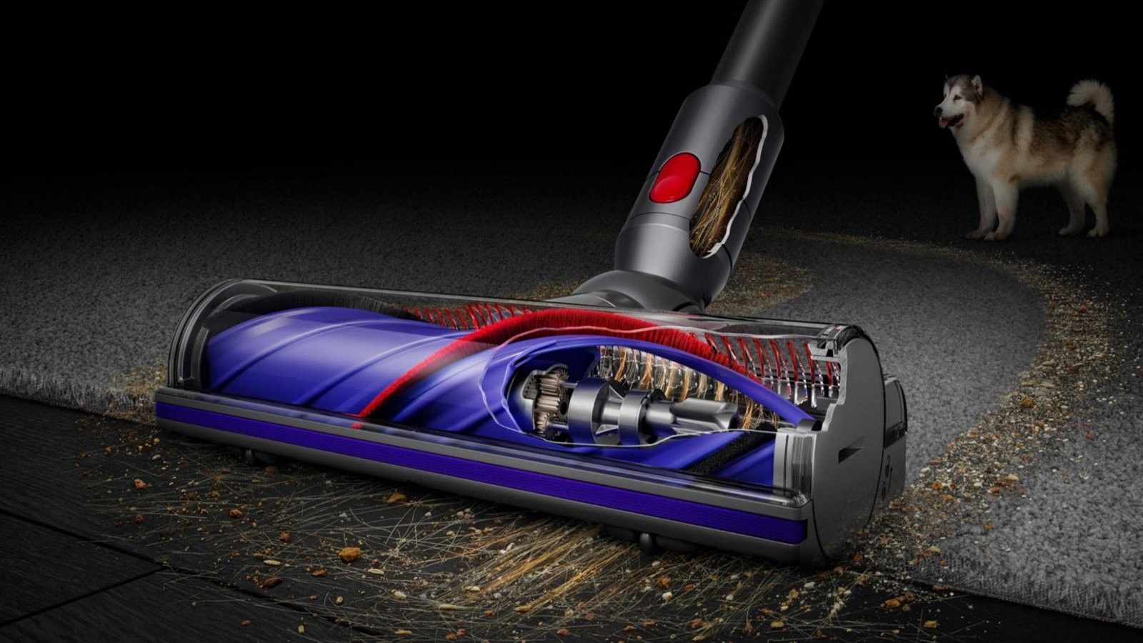 Vue en coupe de la brosse Motorbar du Dyson V8 aspirant des débris, un chien à l’arrière-plan